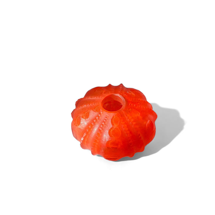 Seaurchin Vase - Orange/Small