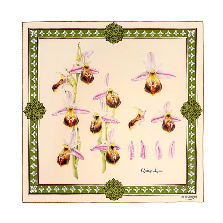 Ophrys Lycia Scarf - Colorful/Beige