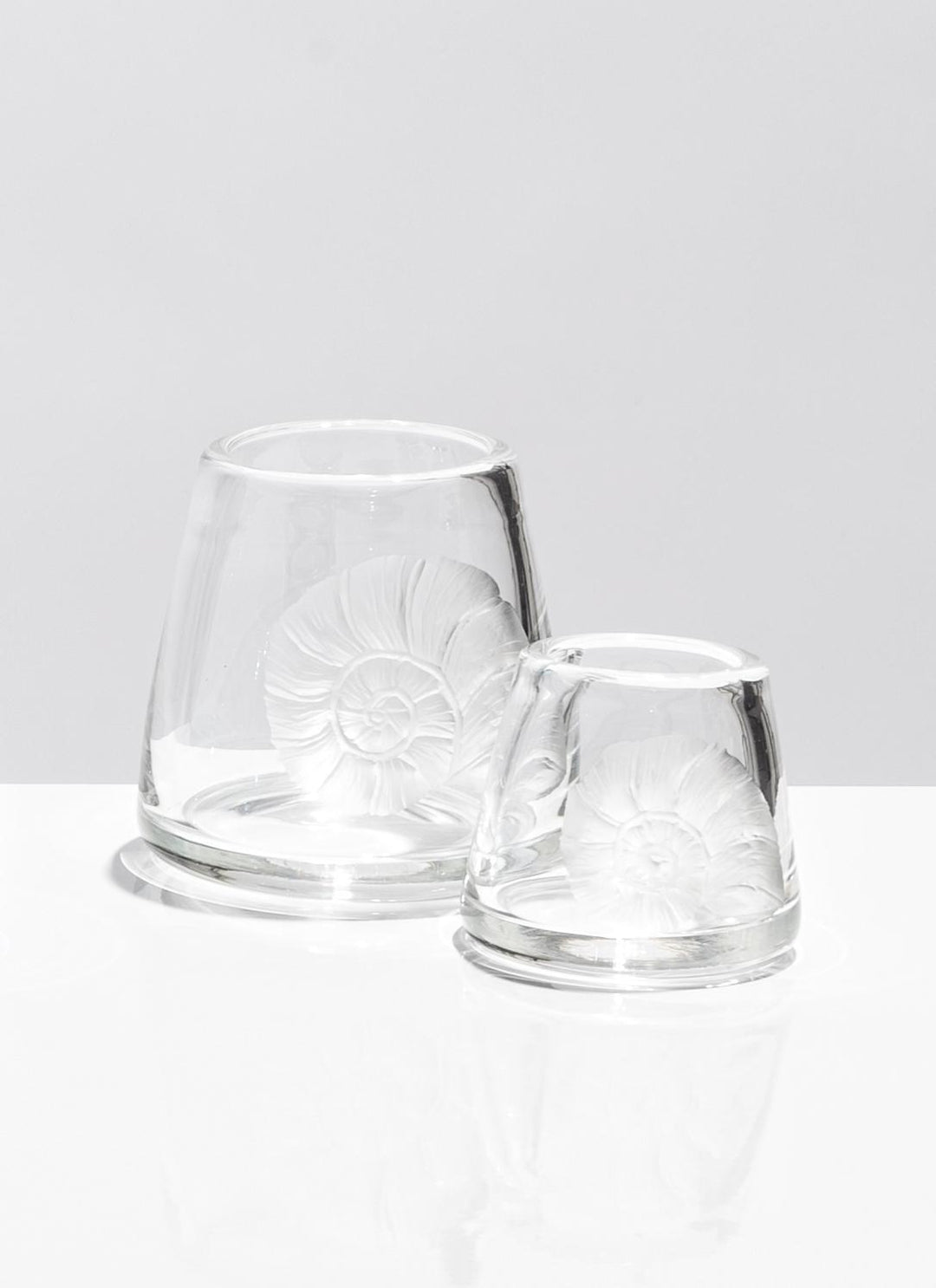 Hurricane Vase Nautilus - Clear/Tall