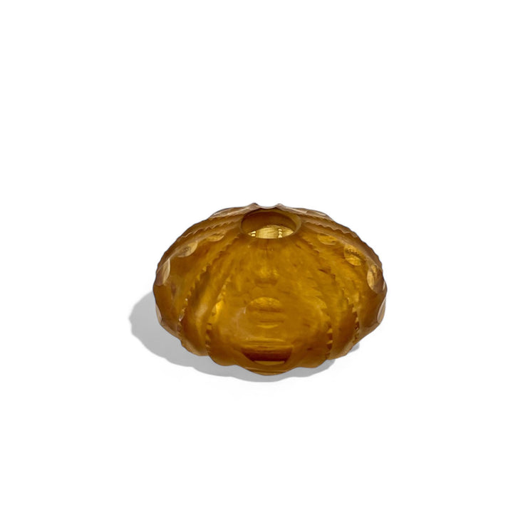 Seaurchin Vase - Amber/Small