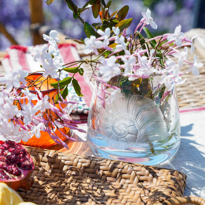 Hurricane Vase Nautilus - Clear/Tall