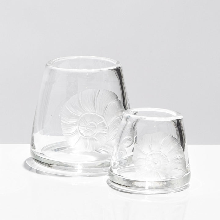 Hurricane Vase Nautilus - Clear/Tall